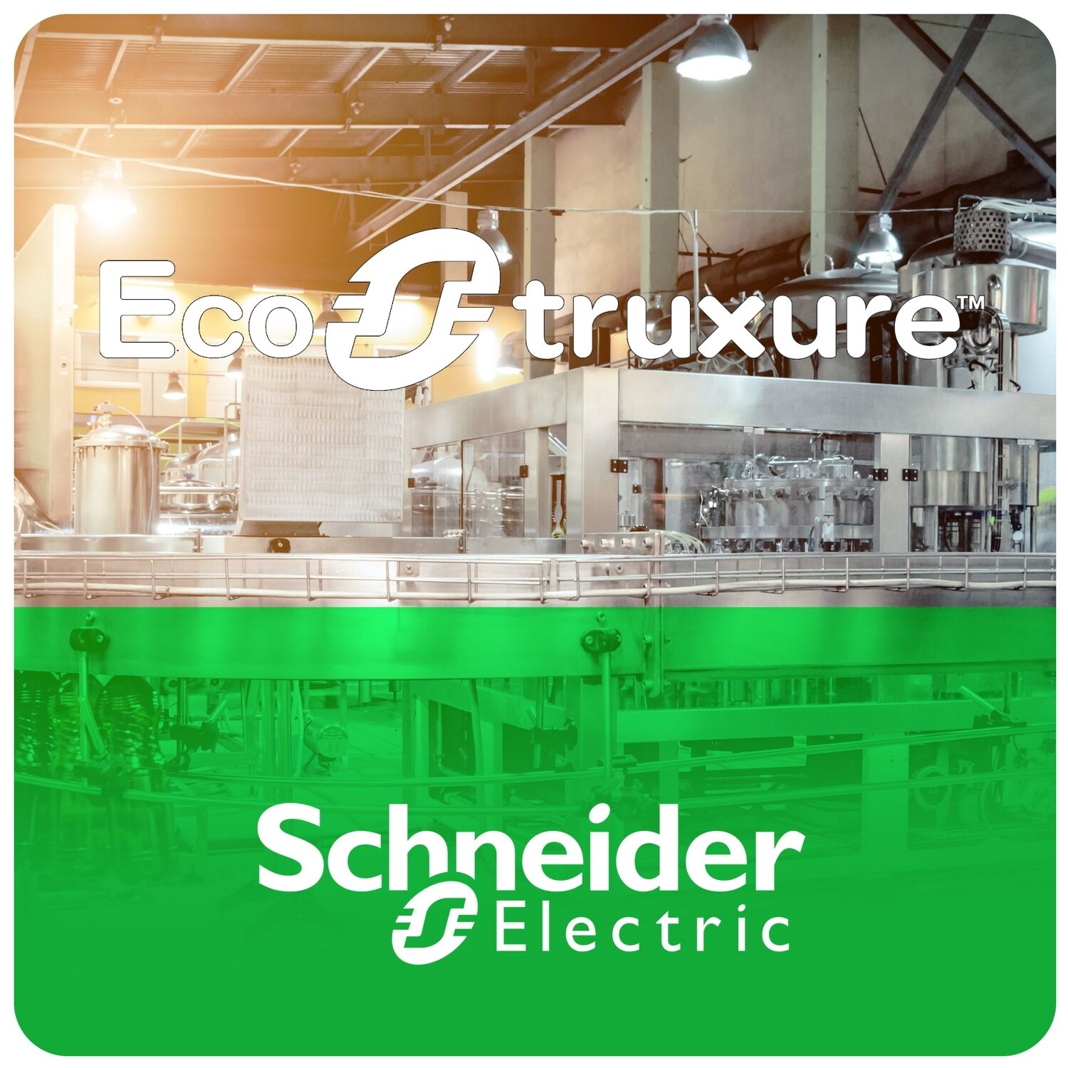 Schneider Electric ESEEXPCZZSPMZZ Machine Expert Standard Single license - Asfora 2'li Topraklı Priz Krem