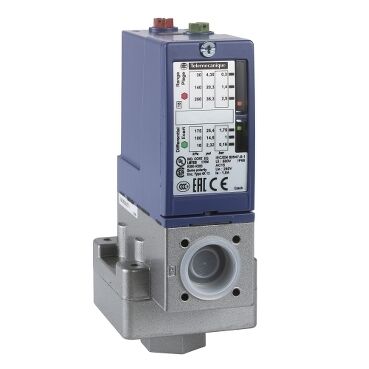 Telemecanique Sensors XMLBM02V2S11 Vakum Anahtarı Xmlb -1 Bar - Ayarlanabilir Skala 2 Eşik - 1 K/A