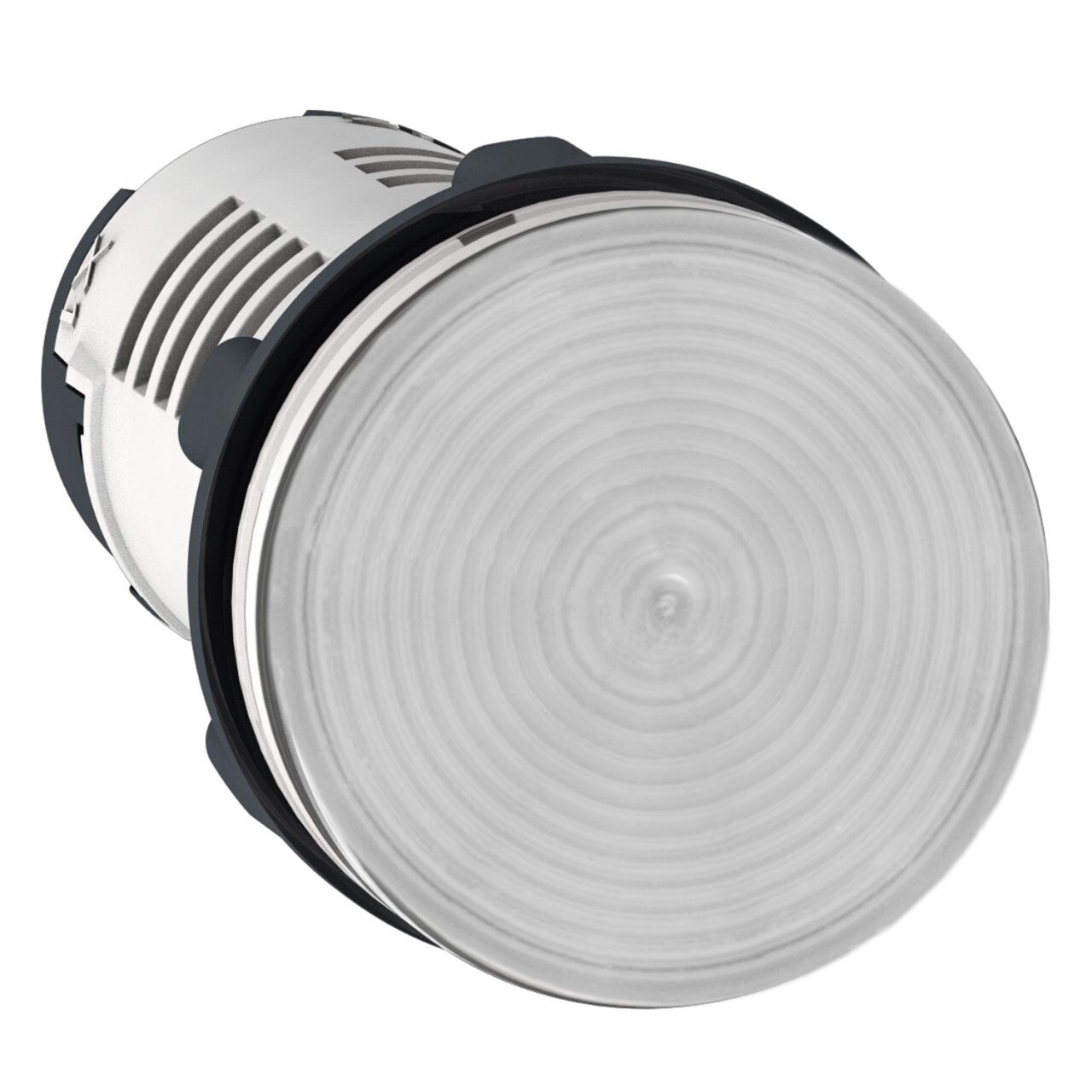 Schneider Electric XB7EV07BP Yuvarlak sinyal lambası Ø 22 - renksiz - entegre LED - 24 V