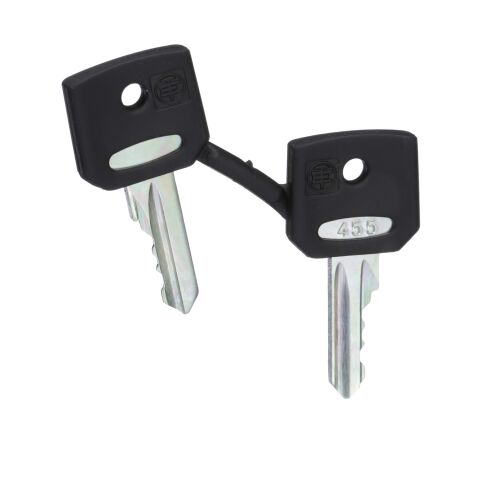 Schneider Electric ZBG455 2'Li Set Anahtar 455