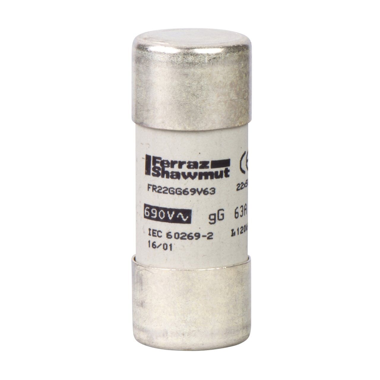 Schneider Electric DF2FN100 KARTUS SIGORTA 100A 22X58