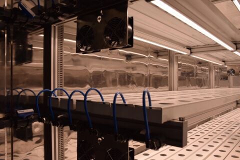 240V 50W Grow LED Bitki Yetiştirme Armatürü