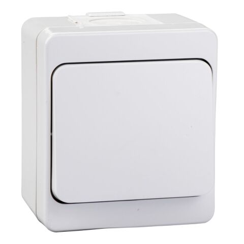 Schneider Electric NML0100133 Nemliyer Anahtar gri
