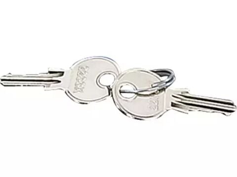 Hensel FP TS 2  FP Panolar için Master Anahtar (2 Adet)