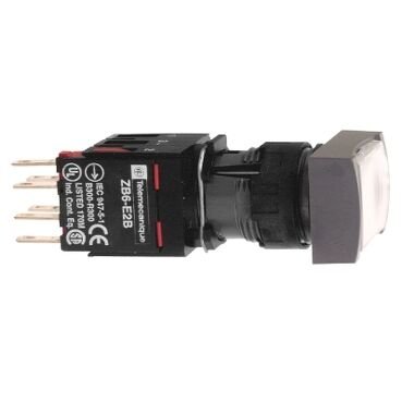 XB6DF1B1B-PLASTIK KALICI ISIKLI BUTON YESIL (1NA) (12.24 V AC/DC) LEDLI DIKDORTGEN