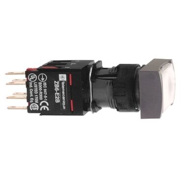 XB6DF1B1B-PLASTIK KALICI ISIKLI BUTON YESIL (1NA) (12.24 V AC/DC) LEDLI DIKDORTGEN