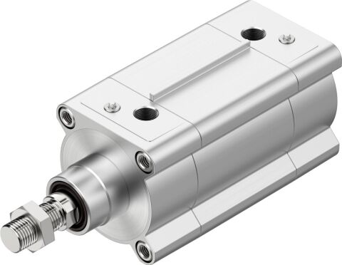 Festo 1778434 DSBF-C-80-125-PPVA-N3-R Standart silindir