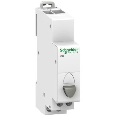 Schneider Electric A9E18030 Acti9 İpb 1Nk Gri Tek Basmalı Düğme