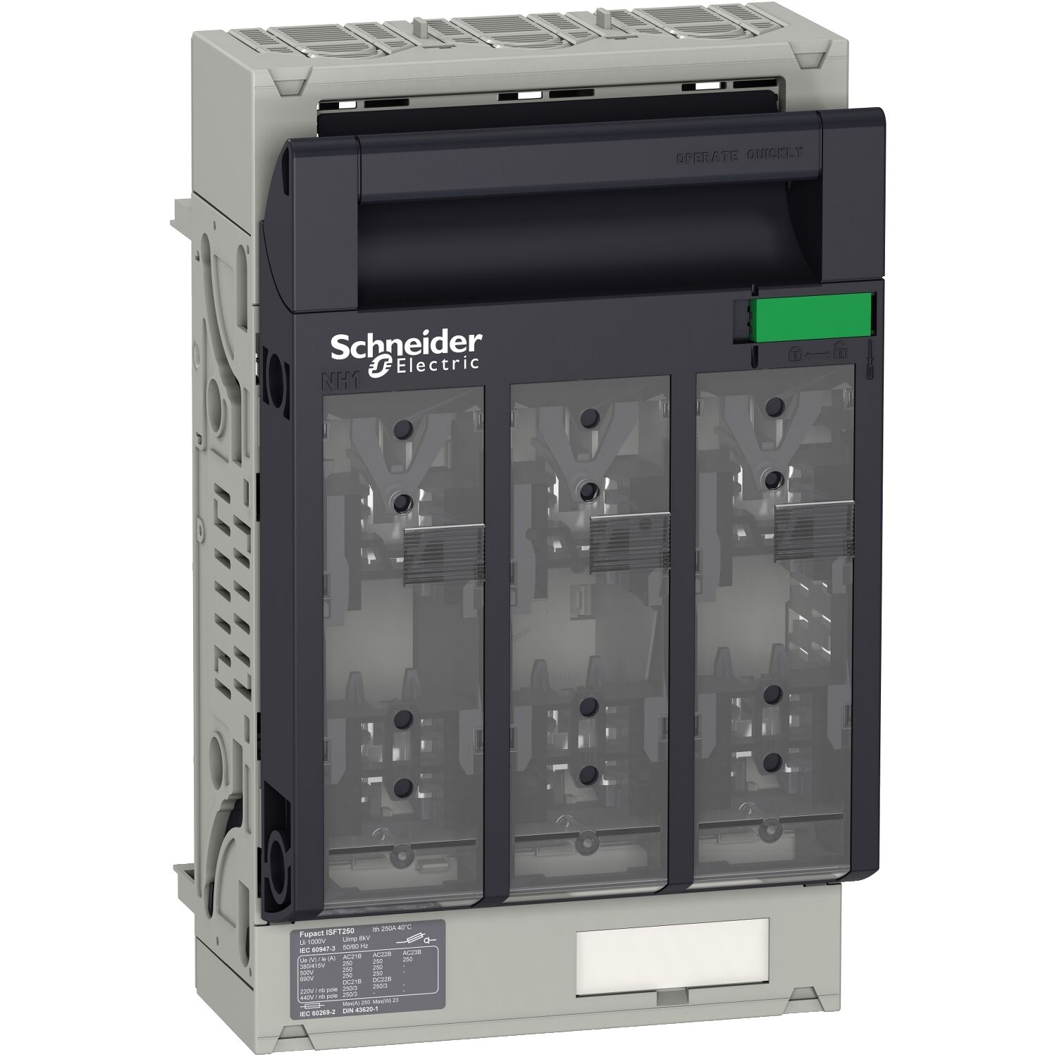 Schneider Electric LV480805 Sigortalı Yük Ayırıcı, Fupact Isft250, 250 A, Dın Nh01, 3 Kutuplu, Bara Montajı, Döner Kanca