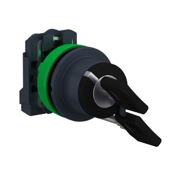 Schneider XB5FG21 Gömülü Kilitli Buton 1 Na
