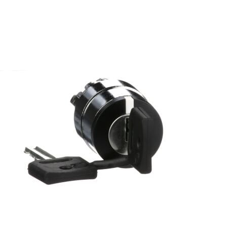 Schneider Electric ZB4BG4 Mandal Buton Başlığı Ø22 2 Konumlu Sabit Ronis 455