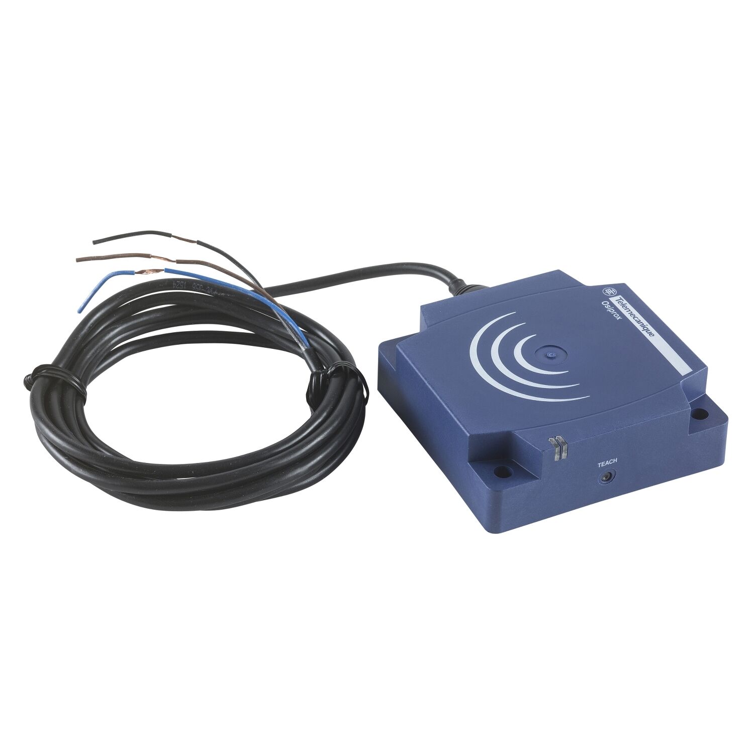 Telemecanique Sensors XS8D1A1MBL2 Endüktif Sensör Xs8 80X80X26 - Pbt - Sn60Mm - 24..240Vac/Dc - Kablo 2M