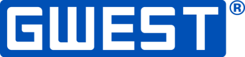 Gwest GF1/2D DİŞİ FİŞ (2.8) 3301